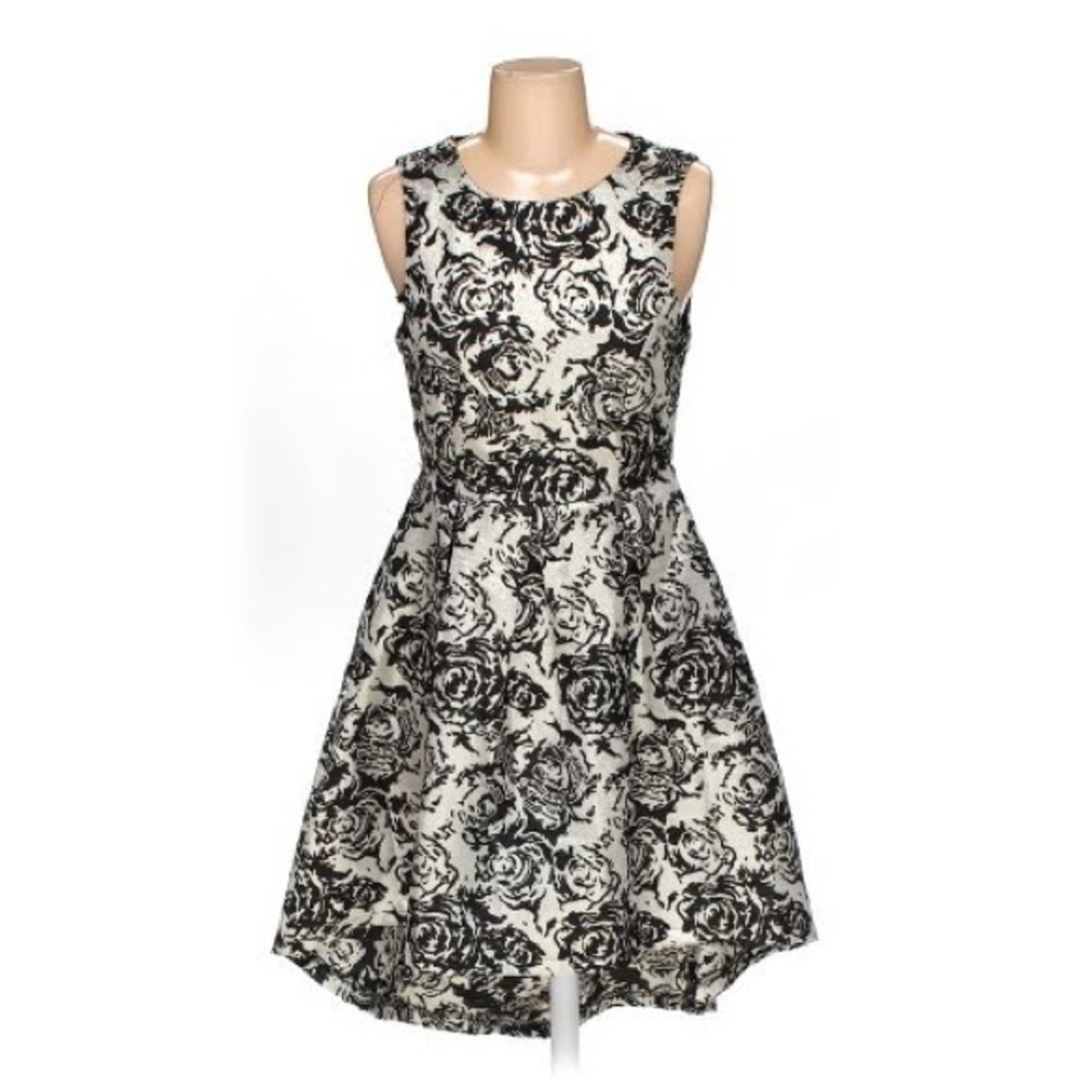 She and Sky Fit & Flare Dress